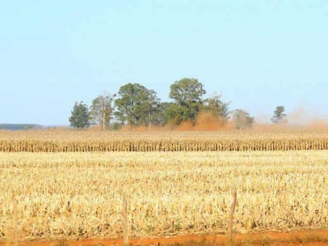 Tempo continua seco nesta ter&ccedil;a-feira, com m&aacute;xima de 32&ordm;C e ainda sem chuvas