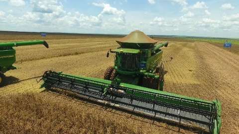 Chuvas continuam atrapalhando e colheita da soja em MS chega a 10% 