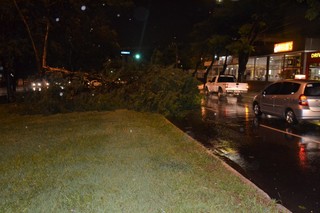 Carros tiveram que desviar de parte da árvores que caiu por causa do temporal (Foto: Nyelder Rodrigues)