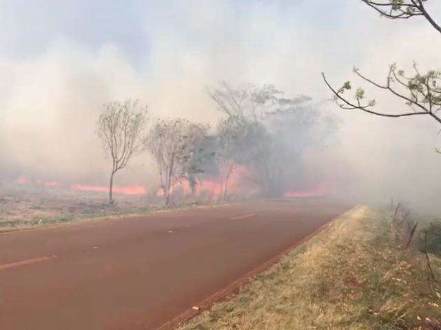Fogo se espalha no dia mais quente do ano e Bombeiro pede ajuda do Ex&eacute;rcito