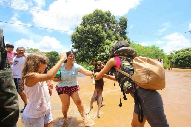 De c&atilde;o a periquito: animais salvos da cheia d&atilde;o cara de lar a abrigo