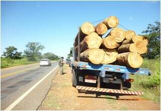 Fiscalização nas rodovias de Mato Grosso do Sul (Foto: Werneck Almada/Ibama)