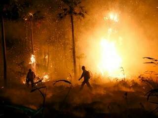 Cerca de 30 brigadistas atuam no combate ao fogo na região de Corumbá (Foto: Paulo Francis)