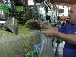 Mercadão Municipal é um dos lugares favoritos para comprar erva em Campo Grande (Foto: Kísie Ainoã)