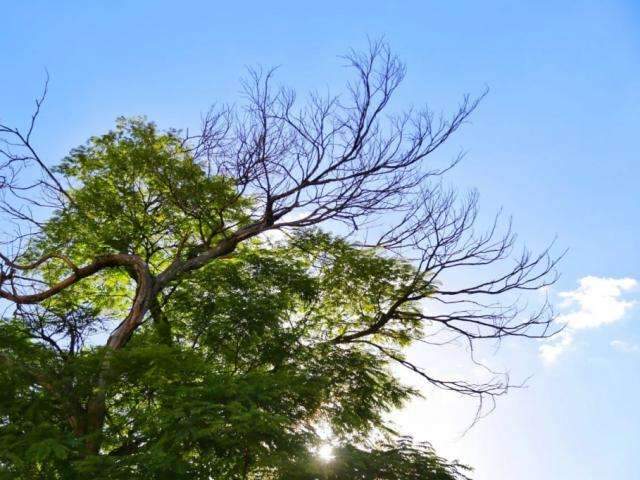 Capital e outras 33 cidades continuam em alerta de baixa umidade nesta tarde