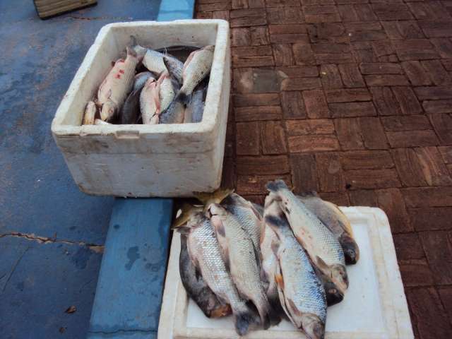 Fiscaliza&ccedil;&atilde;o aperta no feriado e pol&iacute;cia prende homem com pescado ilegal