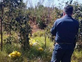 Policial observa pacotes com corpo e roupas de rapaz que estava desaparecido (Foto: Porã News)