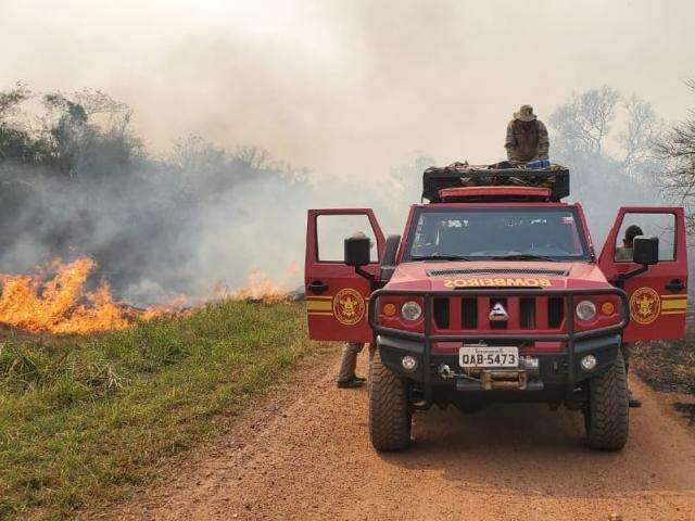 Portaria estende proibi&ccedil;&atilde;o de queimada controlada para canaviais em MS