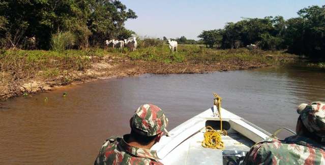 Pecuarista &eacute; multado em R$ 230 mil por criar gado em &aacute;rea de preserva&ccedil;&atilde;o