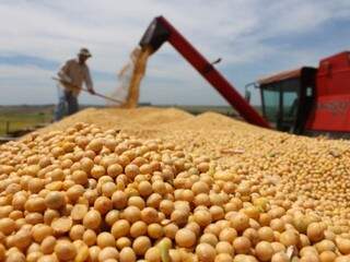 Produção de soja; Lei Kandir isenta produtos primários de impostos na exportação. (Foto: CNM/Arquivo)