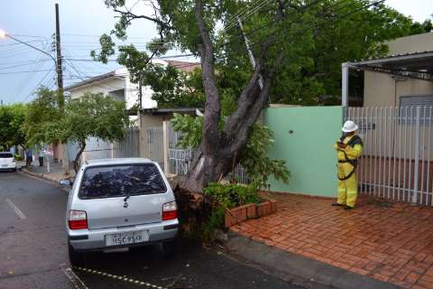 Árvore cai sobre casa, fere morador e danifica veículo no Monte Castelo