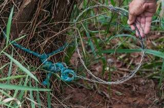 Armadilha para caçar animais foi encontrada na tarde de hoje. (Foto: Marcelo Calazans/Divulgação)