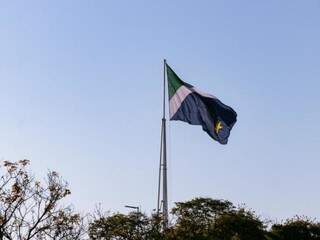 Bandeira do Mato Grosso do Sul compõe cenário com céu azul e árvores, na Avenida Costa e Silva. (Foto: Henrique Kawaminami) 