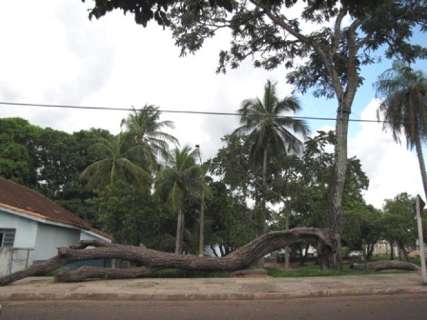 Aparecida do Taboado, a cidade que deixou o mundo 60 Dias