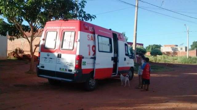 Menino de 4 anos &eacute; atacado por c&atilde;o enquanto brincava com a irm&atilde;