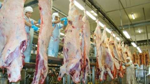 MS exporta  9.168 toneladas de carne em janeiro e é o 5° no ranking de estados