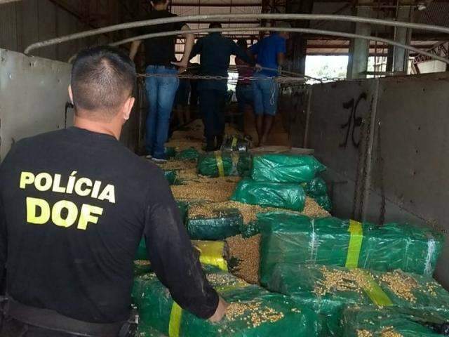 MP quer pris&atilde;o preventiva para trio flagrado com carga recorde de maconha