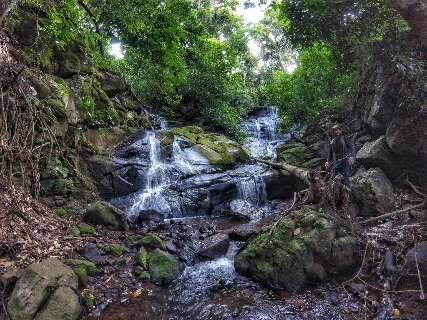 Oito dicas de trilhas para fazer turismo de natureza em Mato Grosso do Sul 