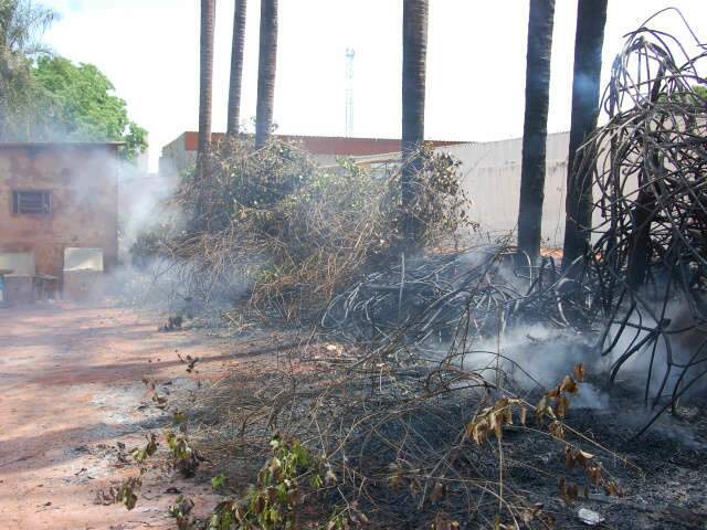  Terreno baldio pega fogo e assusta moradora na Vila Bandeirantes