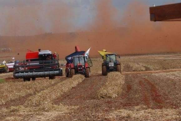 FAO estuda cria&ccedil;&atilde;o de estrutura para reduzir desperd&iacute;cio de alimentos no Brasil