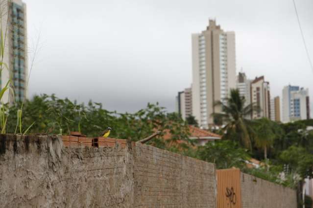 Sensa&ccedil;&atilde;o t&eacute;rmica chega a 18&ordm;C, mas calor deve voltar na ter&ccedil;a-feira 