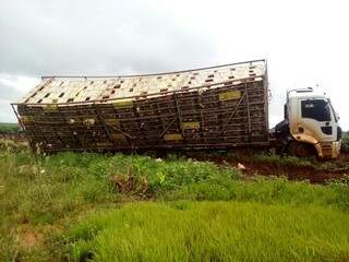 Caminhão carregado de frango quase tomba em estrada vicinal (Foto:Divulgação)