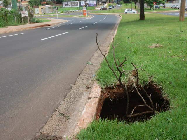  Depois da chuva, buracos &ldquo;brotam&rdquo; at&eacute; em canteiros das principais avenidas