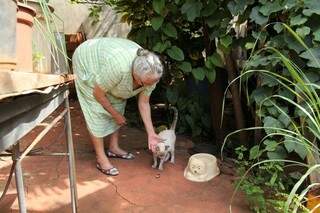 Gatos fazem amizade com penico, tomam conta do quintal e conquistam v&oacute; e neto 