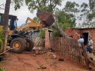 Árvore de grande porte caiu sobre casa e destruição parte do imóvel  (Foto: assessoria de imprensa)