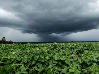 Chuvas em lavouras poderão ser monitoradas por agricultores (Foto: Reprodução)
