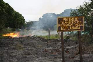 Grande parte do terreno, situado no Jardim Petrópolis. já foi atingida por incêndio (Foto: Marcos Ermínio)