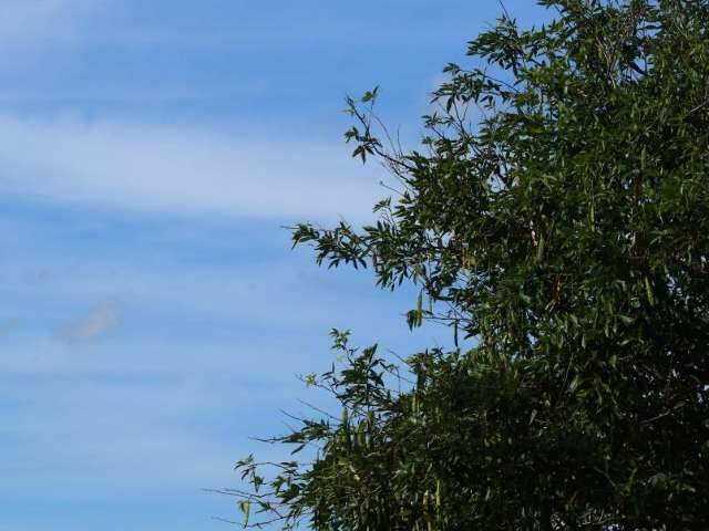 Feriado ter&aacute; c&eacute;u nublado e n&eacute;voa &uacute;mida, mas term&ocirc;metros de at&eacute; 34&ordm;C 