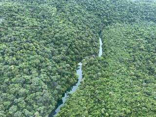 O Rio Perdido, preservado, se confunde coma  vegetação em Bonito. (Foto: Instituto Homem Pantaneiro)