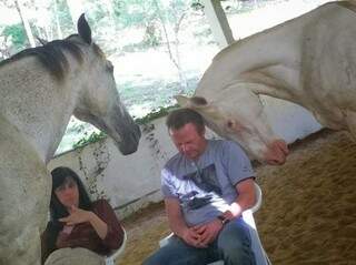 Cavalos durante terapia de Constelação Sistêmica (Foto: Divulgação)