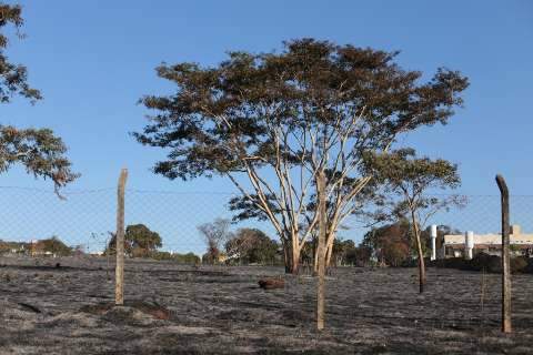 Tempo seco, calor e fogo no mato: equação que torna os dias difíceis