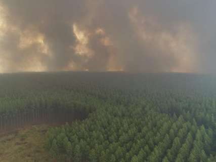 Incêndio florestal que durou 10h consumiu pelo menos mil hectares