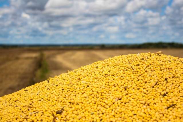 Balan&ccedil;a comercial fecha primeiro trimestre do ano com deficit de US$ 81 milh&otilde;es