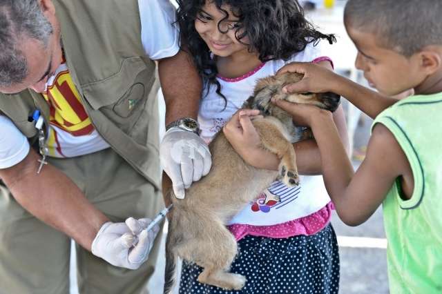 Prefeitura vacina c&atilde;es e gatos contra a raiva na Pra&ccedil;a Ary Coelho