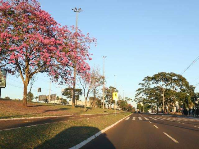 Domingo em MS ser&aacute; de temperatura at&eacute; 27&ordm;C e umidade em n&iacute;vel de alerta
