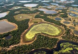 Na época de cheia no Pantanal, são despejados nos rios 180 milhões de litros de água, por dia (Foto: Adriano Gambarini/WWF)