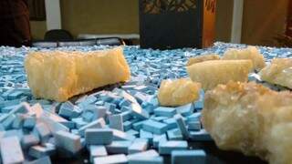 Comprimidos de ecstasy apreendidos pelo DOF; prejuízo de R$ 12,5 milhões aos traficantes (Foto: Divulgação)