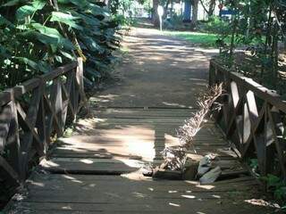 Ponte de madeira quebrada na praça Itanhangá assusta frequentadores (Foto: Marina Pacheco)