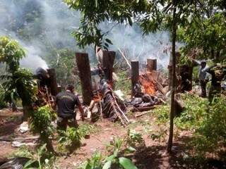 Agentes da Senad incineram maconha em acampamento de traficantes na fronteira com MS (Foto: Divulgação/Senad)
