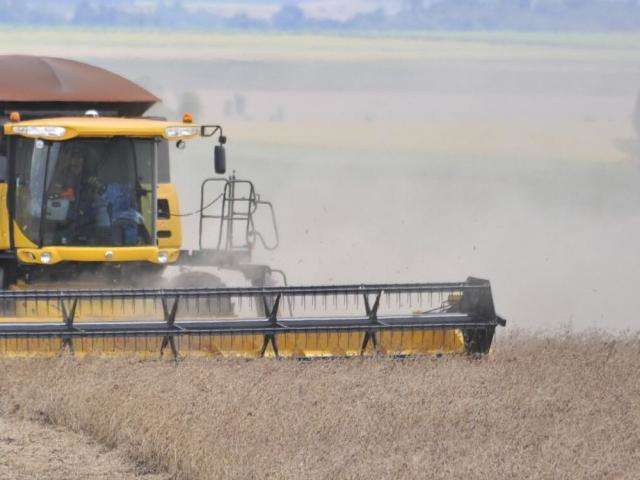 Agricultura se destaca em MS e valor de produ&ccedil;&atilde;o soma R$ 28,8 bilh&otilde;es