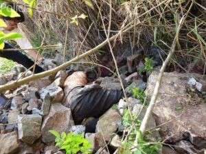  Homem &eacute; assassinado a golpes de faca pelo filho da namorada 