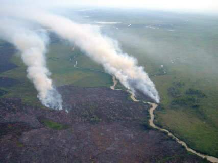  Incêndios destróem 20 mil hectares de vegetação em Corumbá