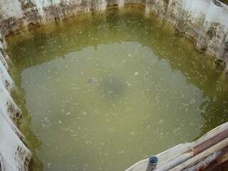 Àgua de reservatórios está imprópria para consumo. (Foto: MPF)