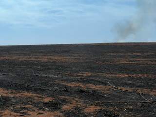 Área danificada pelo incêndio. (Foto: Divulgação/ PMA)