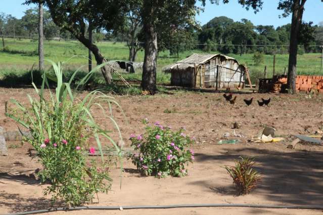 Minist&eacute;rio cria grupo e peritos t&ecirc;m um m&ecirc;s para avaliar Terra Buriti