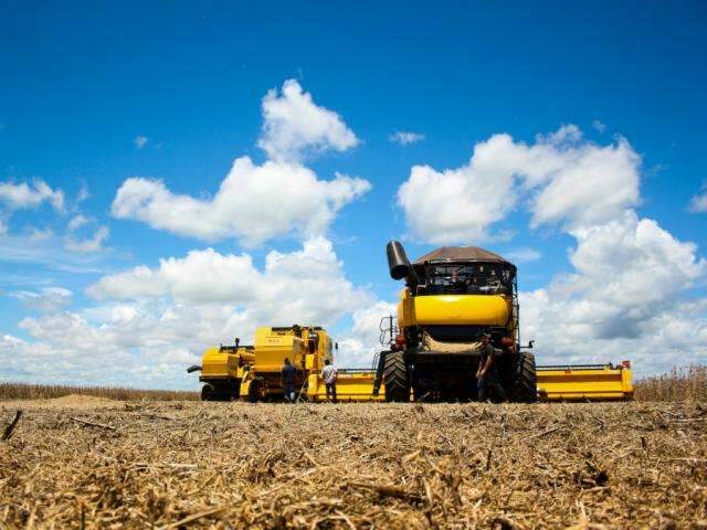 Produtividade da soja em MS &eacute; a maior da hist&oacute;ria, mostra levantamento